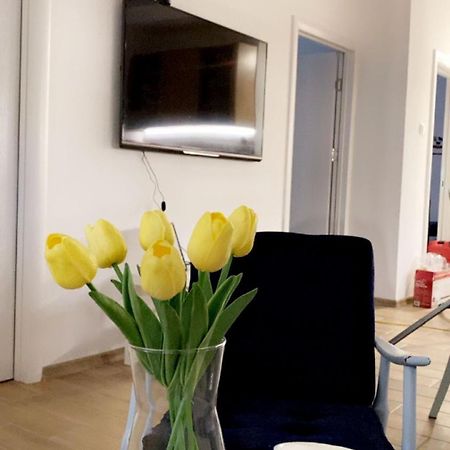 Vanja Apartman Vrsac Eksteriør bilde
