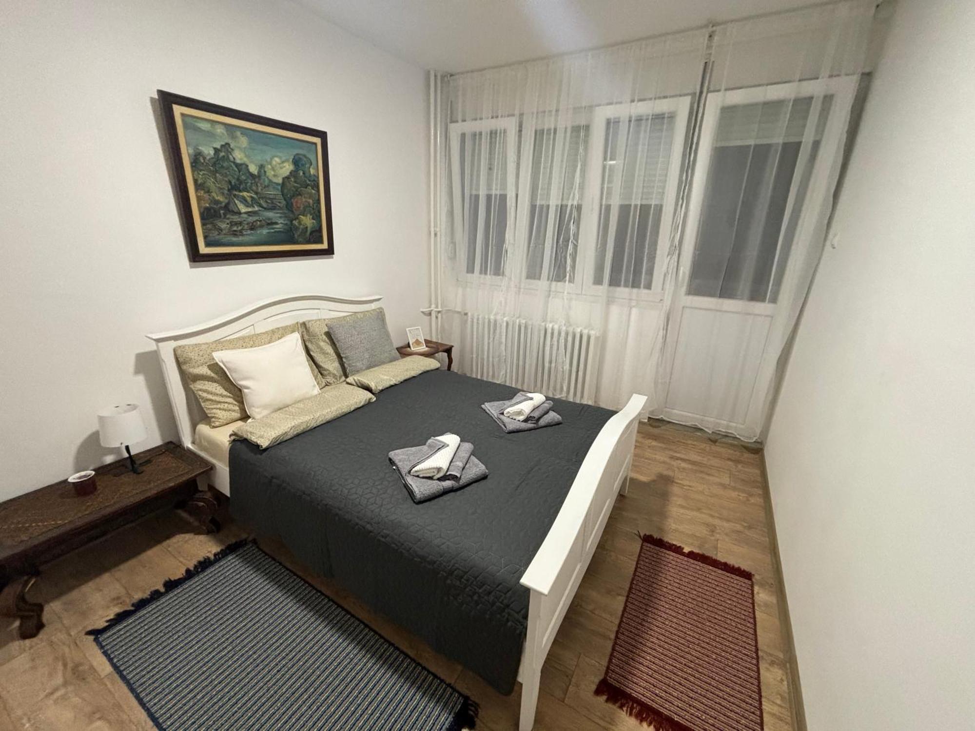 Vanja Apartman Vrsac Eksteriør bilde