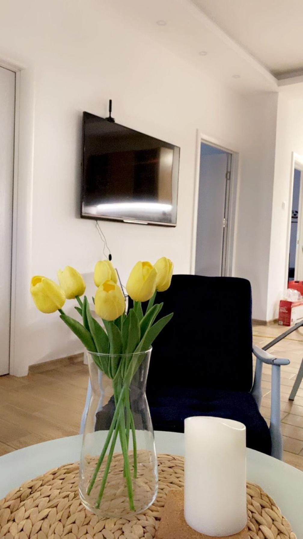 Vanja Apartman Vrsac Eksteriør bilde