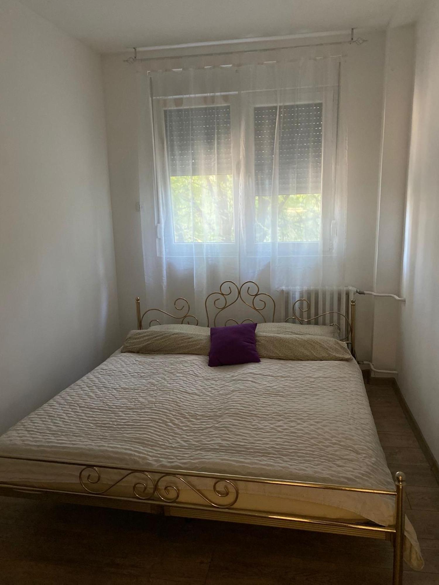 Vanja Apartman Vrsac Eksteriør bilde