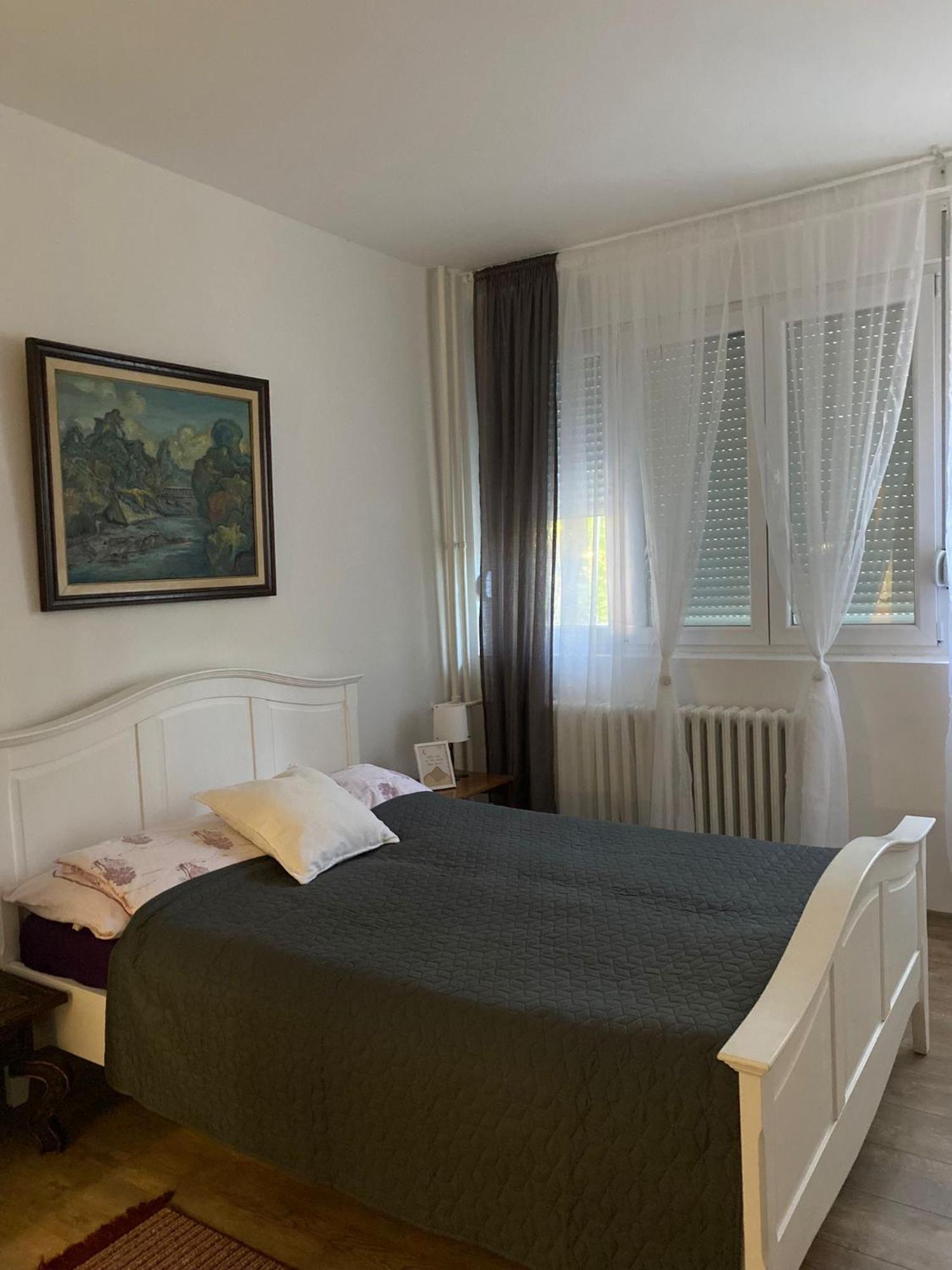 Vanja Apartman Vrsac Eksteriør bilde
